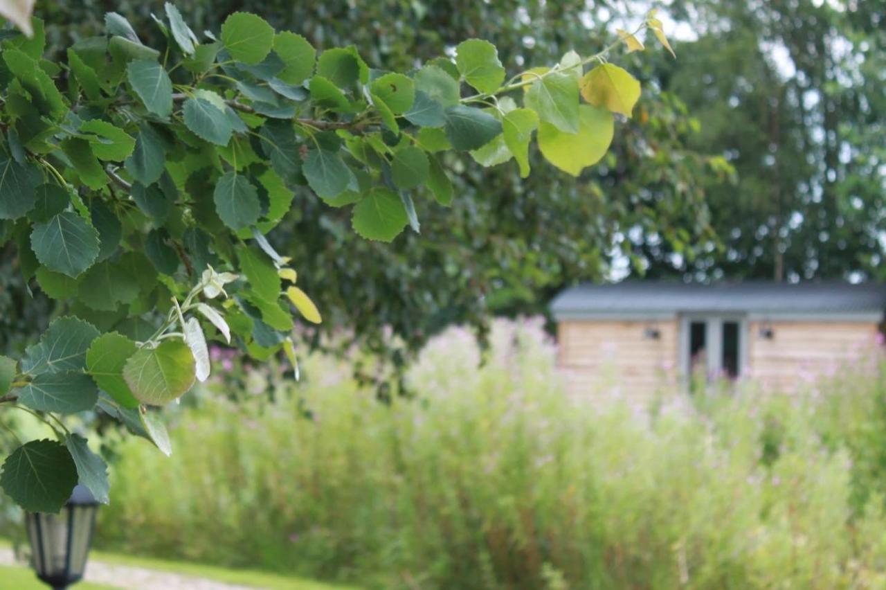 Luxury Shepherds Hut - The Sweet Pea By The Lake 约克 外观 照片